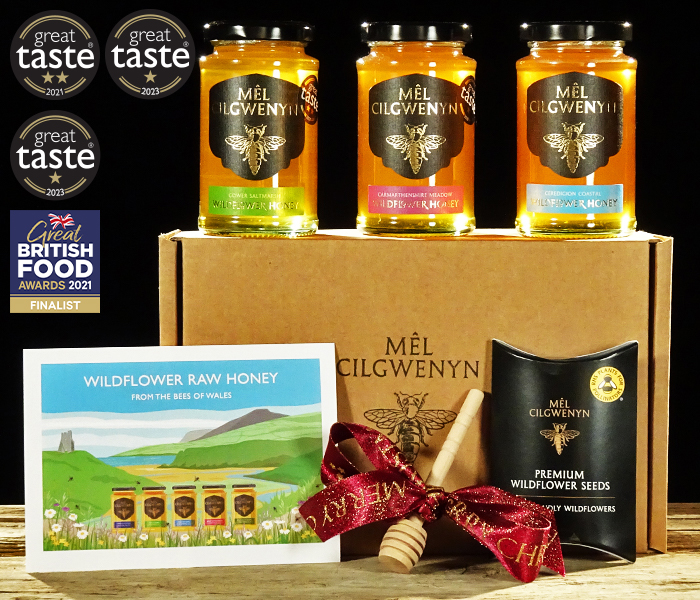The Welsh Coast Honey Gift Set1.jpg