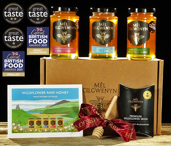 The Welsh Wildflower Honey Gift Set1.jpg