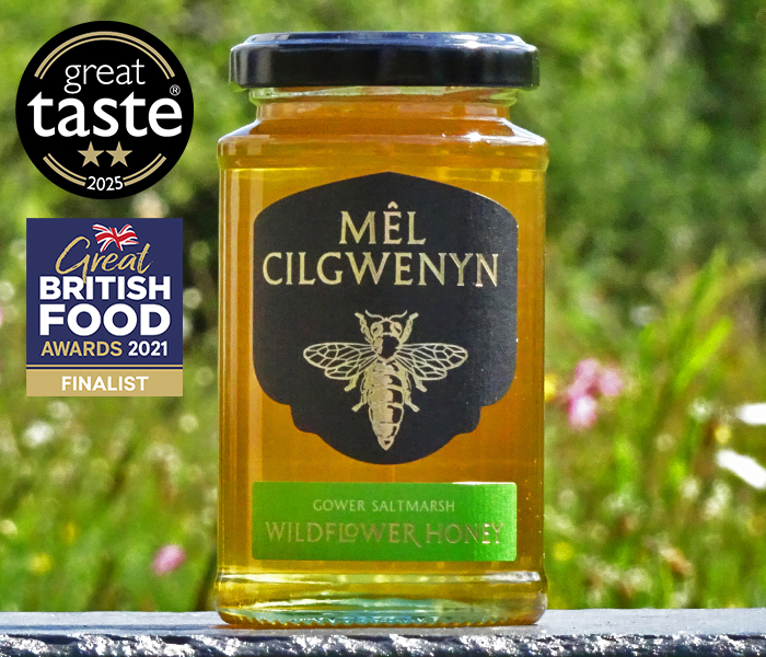 Gower Saltmarsh Wildflower Honey 270g1.jpg