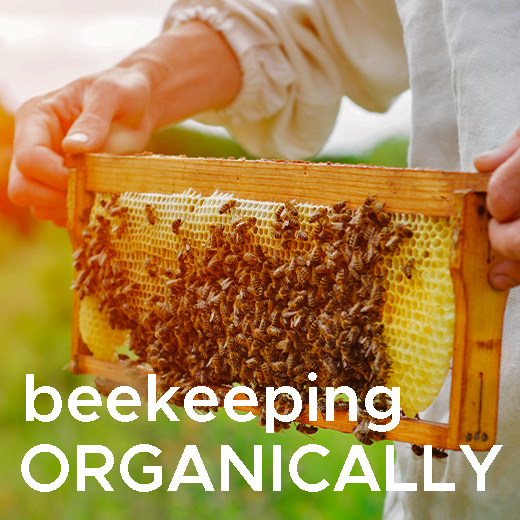 Beekeeping Organically
