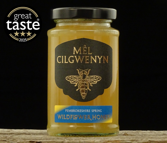 Pembrokeshire Spring Wildflower Honey 270g1.jpg
